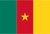 Cameroonian flag