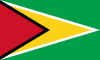 Guyanese flag