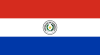 Paraguayan flag