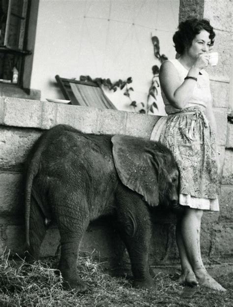 Daphne Sheldrick