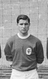 Fernando Cruz