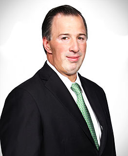 Jose Antonio Meade Kuribrena