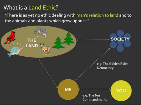 Land ethic