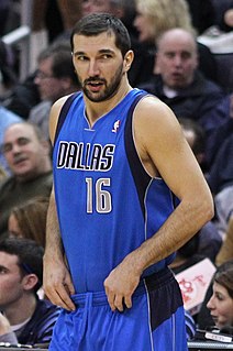 Peja Stojakovic