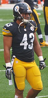 Troy Polamalu