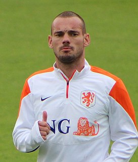 Wesley Sneijder