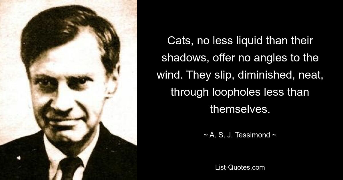 Кошки, не менее текучие, чем их тени, не дают ветру никаких углов. Они проскальзывают, уменьшенные, аккуратные, через лазейки меньше, чем они сами. — © ASJ Тессимонд 