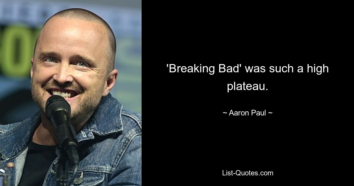 'Breaking Bad' was such a high plateau. — © Aaron Paul