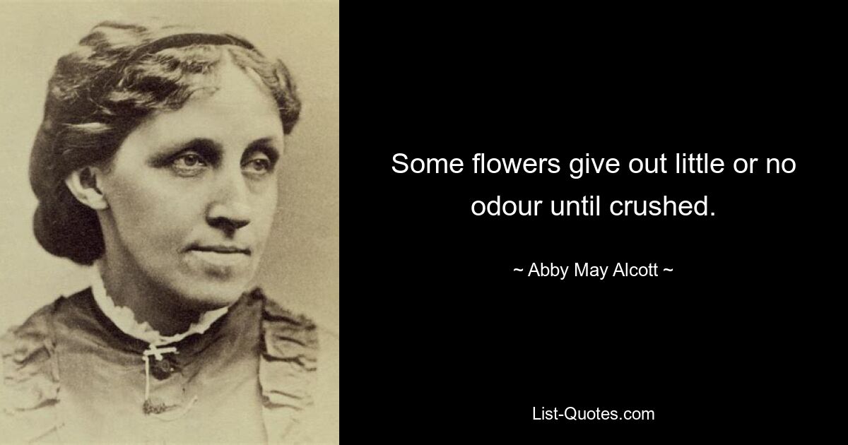 Some flowers give out little or no odour until crushed. — © Abby May Alcott