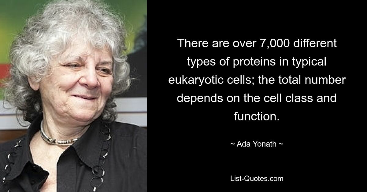 There are over 7,000 different types of proteins in typical eukaryotic cells; the total number depends on the cell class and function. — © Ada Yonath