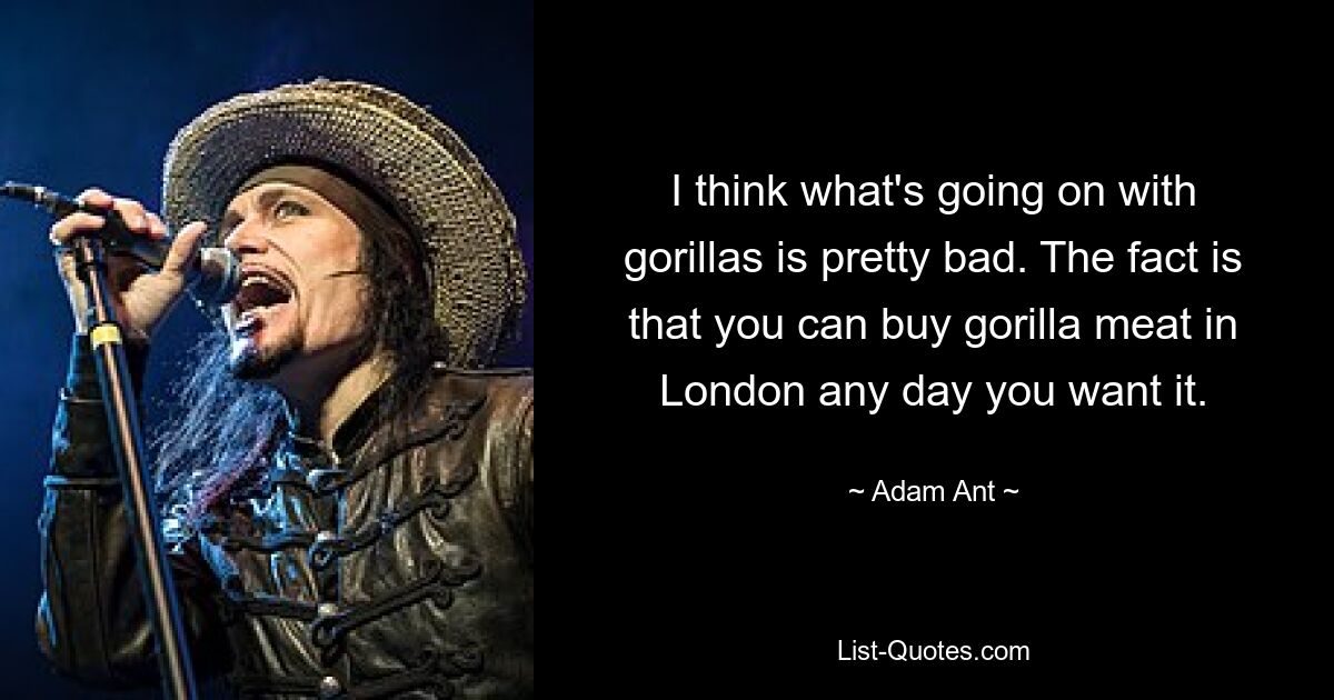 I think what's going on with gorillas is pretty bad. The fact is that you can buy gorilla meat in London any day you want it. — © Adam Ant