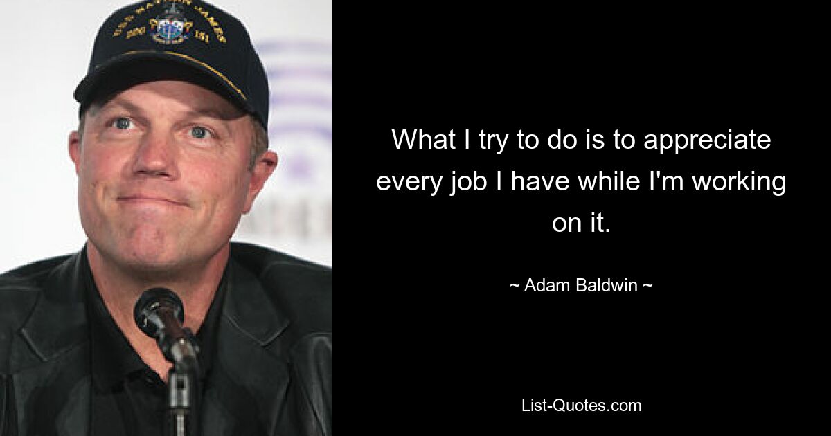 What I try to do is to appreciate every job I have while I'm working on it. — © Adam Baldwin