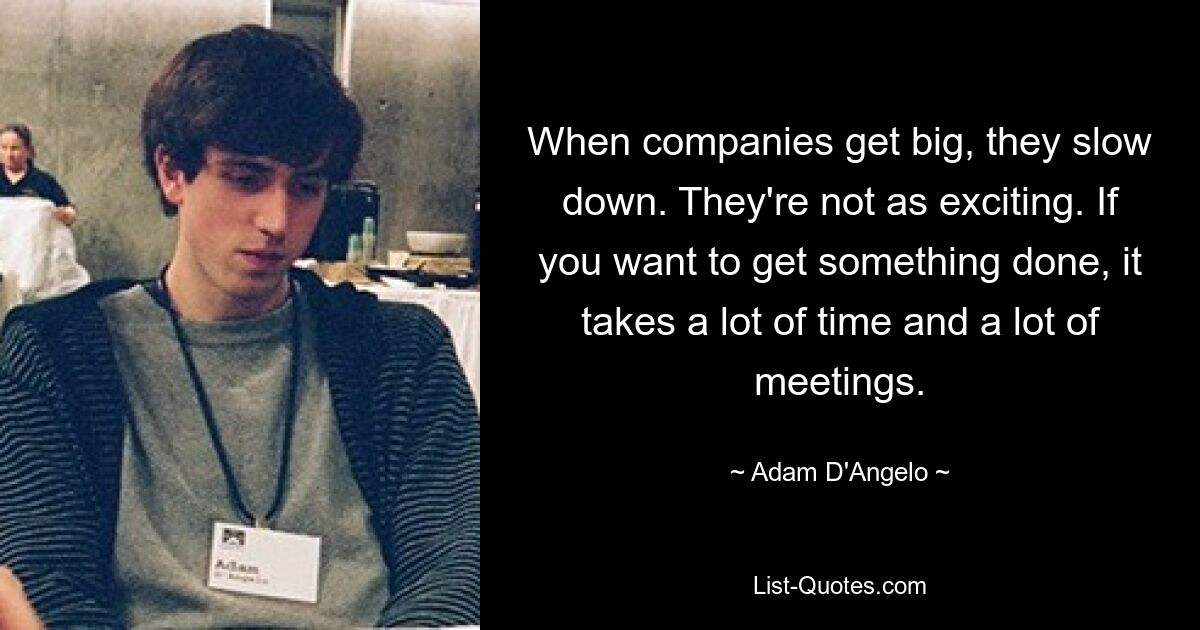 When companies get big, they slow down. They're not as exciting. If you want to get something done, it takes a lot of time and a lot of meetings. — © Adam D'Angelo