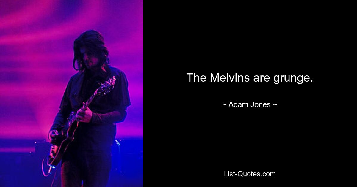 The Melvins are grunge. — © Adam Jones