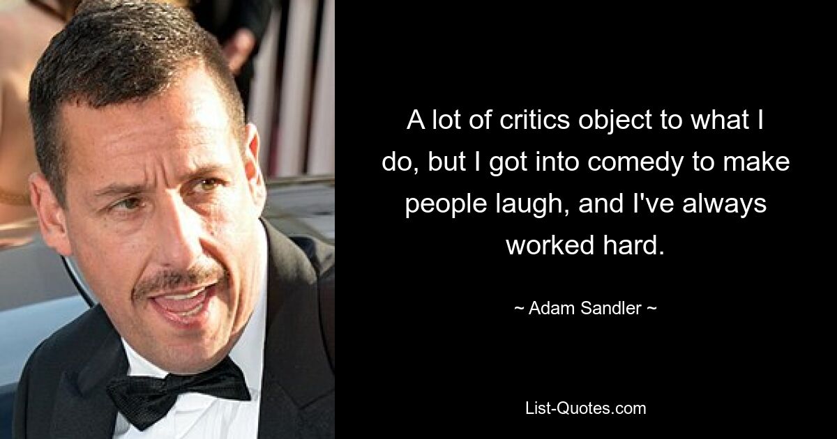 A lot of critics object to what I do, but I got into comedy to make people laugh, and I've always worked hard. — © Adam Sandler