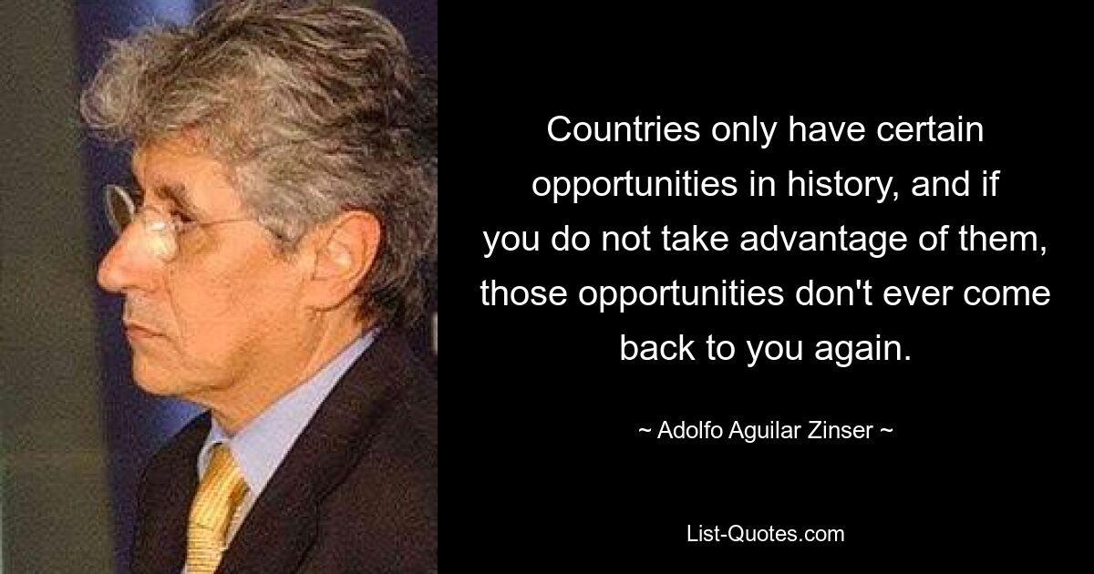 Countries only have certain opportunities in history, and if you do not take advantage of them, those opportunities don't ever come back to you again. — © Adolfo Aguilar Zinser