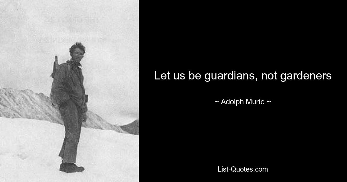 Let us be guardians, not gardeners — © Adolph Murie