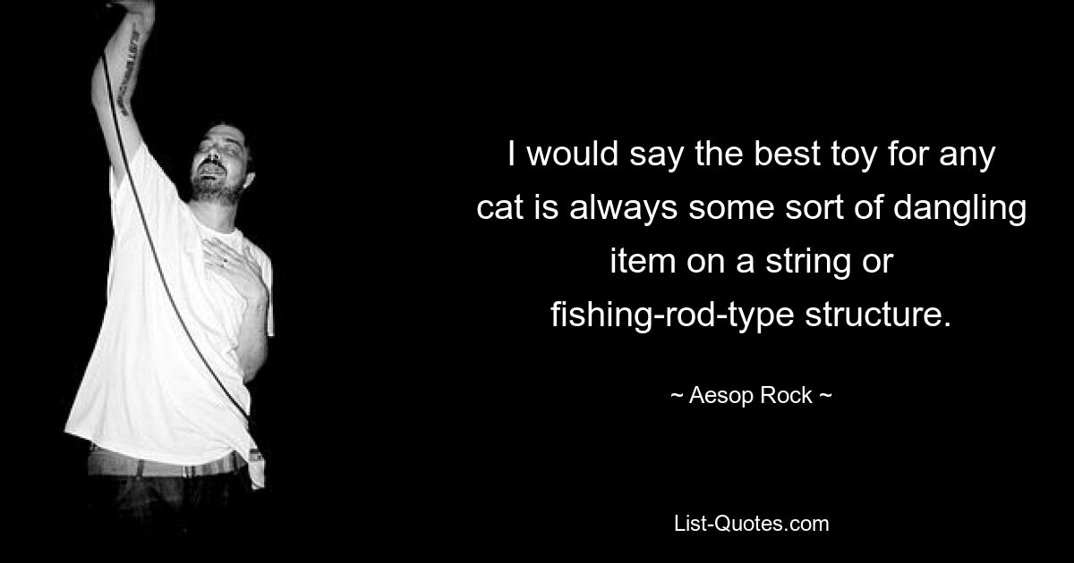 I would say the best toy for any cat is always some sort of dangling item on a string or fishing-rod-type structure. — © Aesop Rock