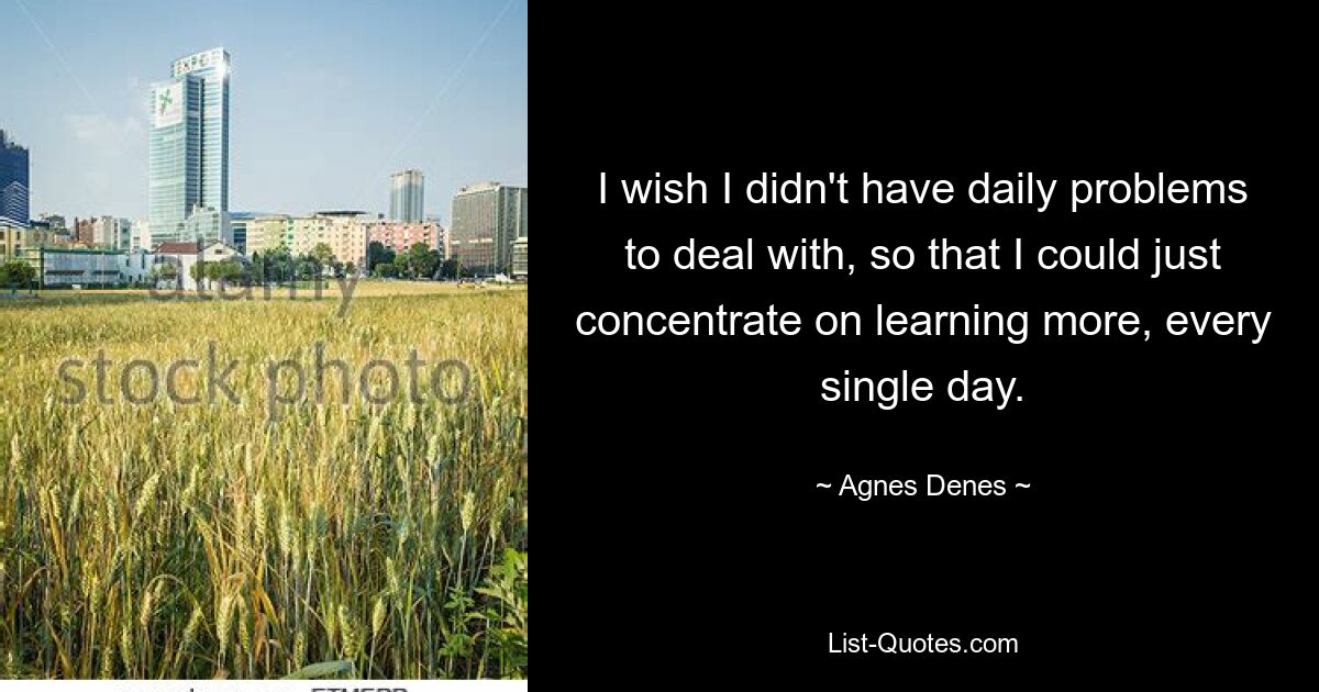 I wish I didn't have daily problems to deal with, so that I could just concentrate on learning more, every single day. — © Agnes Denes