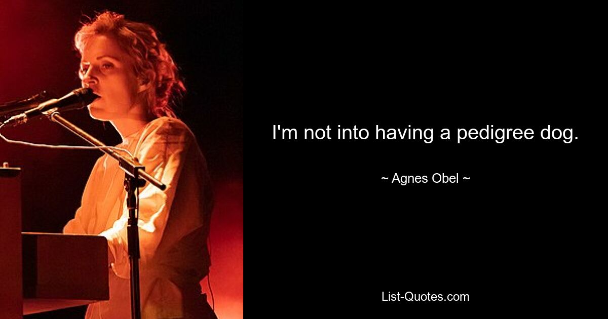 I'm not into having a pedigree dog. — © Agnes Obel