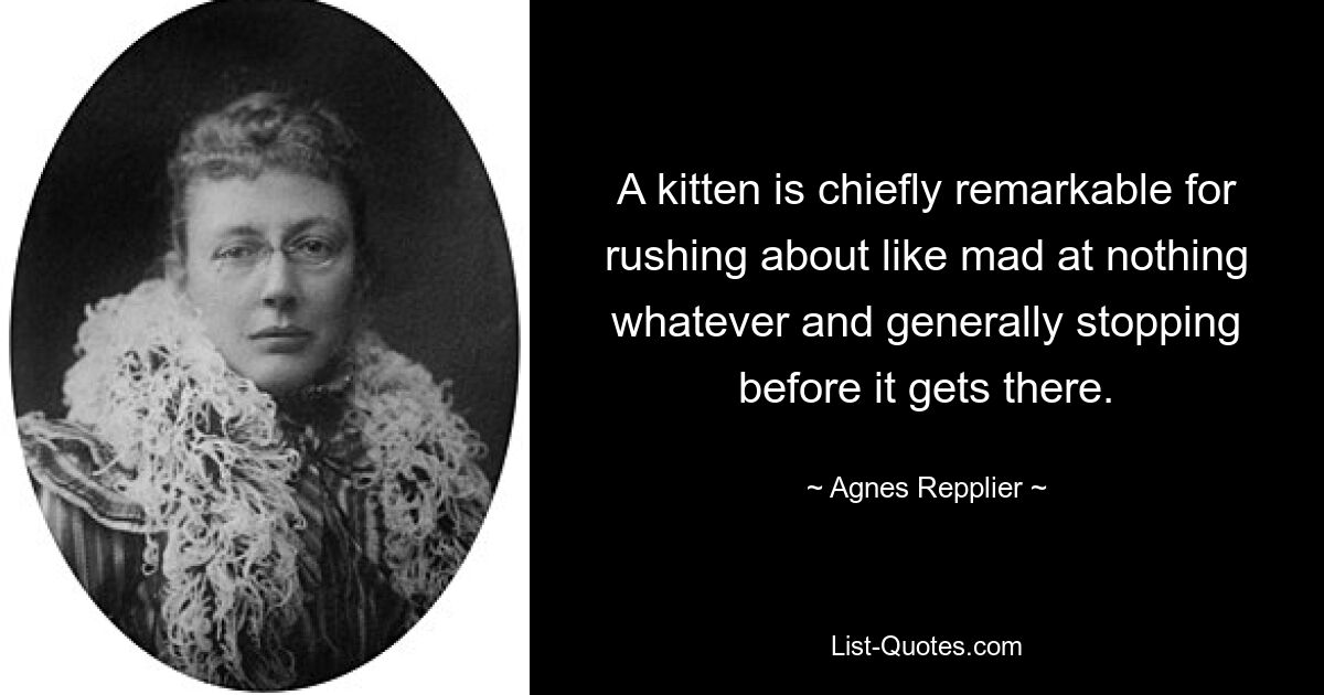 A kitten is chiefly remarkable for rushing about like mad at nothing whatever and generally stopping before it gets there. — © Agnes Repplier