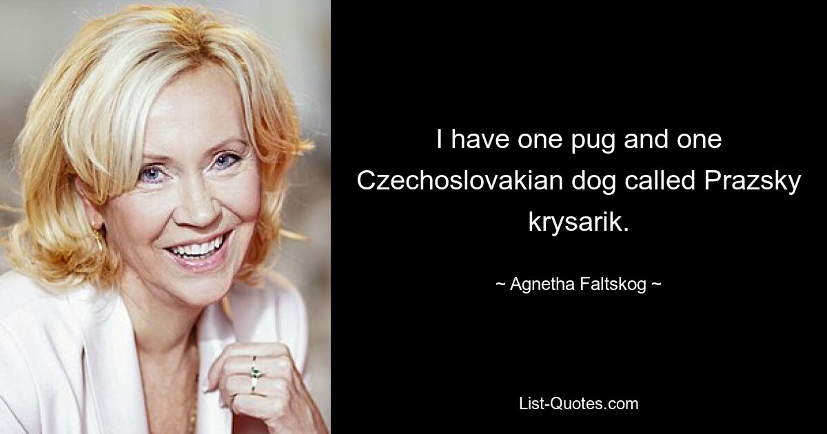 У меня есть один мопс и одна чехословацкая собака по кличке Пражский крысарик. — © Агнета Фальтског 