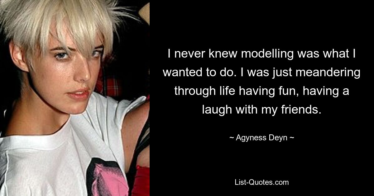 I never knew modelling was what I wanted to do. I was just meandering through life having fun, having a laugh with my friends. — © Agyness Deyn