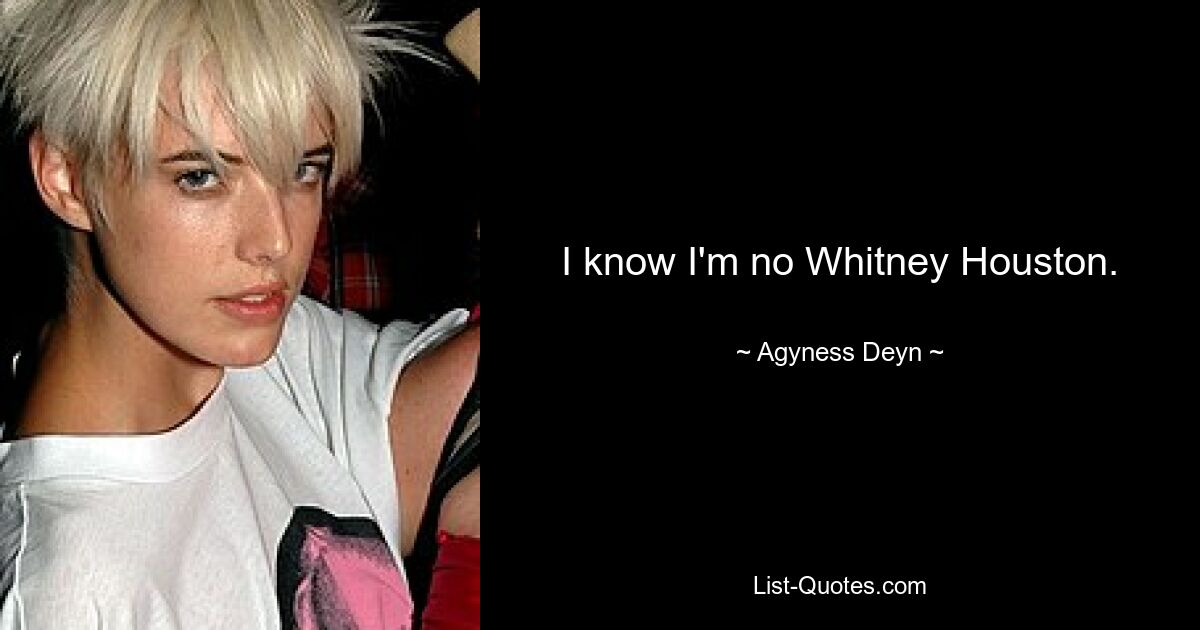 I know I'm no Whitney Houston. — © Agyness Deyn