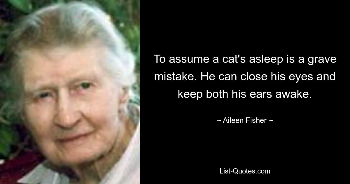 To assume a cat's asleep is a grave mistake. He can close his eyes and keep both his ears awake. — © Aileen Fisher