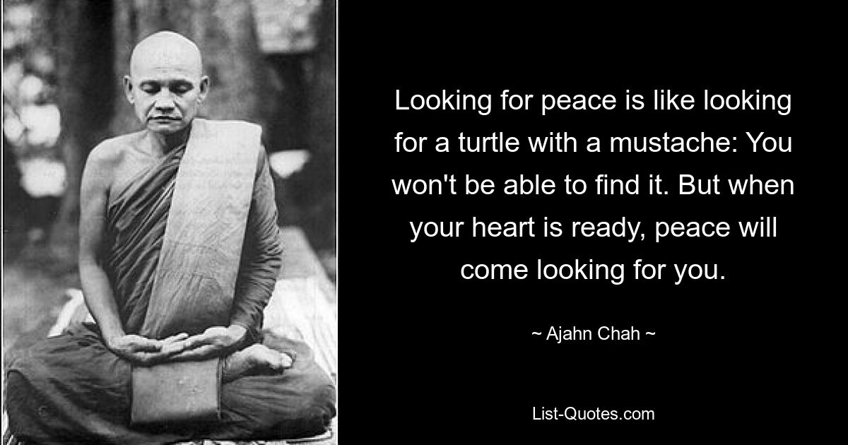 Looking for peace is like looking for a turtle with a mustache: You won't be able to find it. But when your heart is ready, peace will come looking for you. — © Ajahn Chah