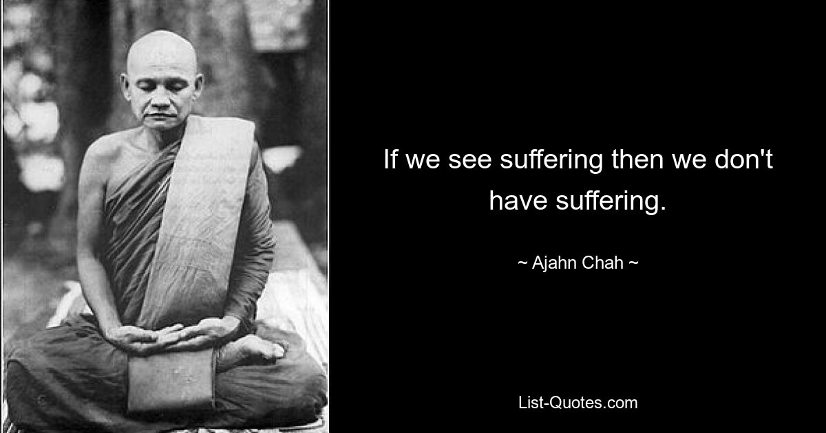 If we see suffering then we don't have suffering. — © Ajahn Chah