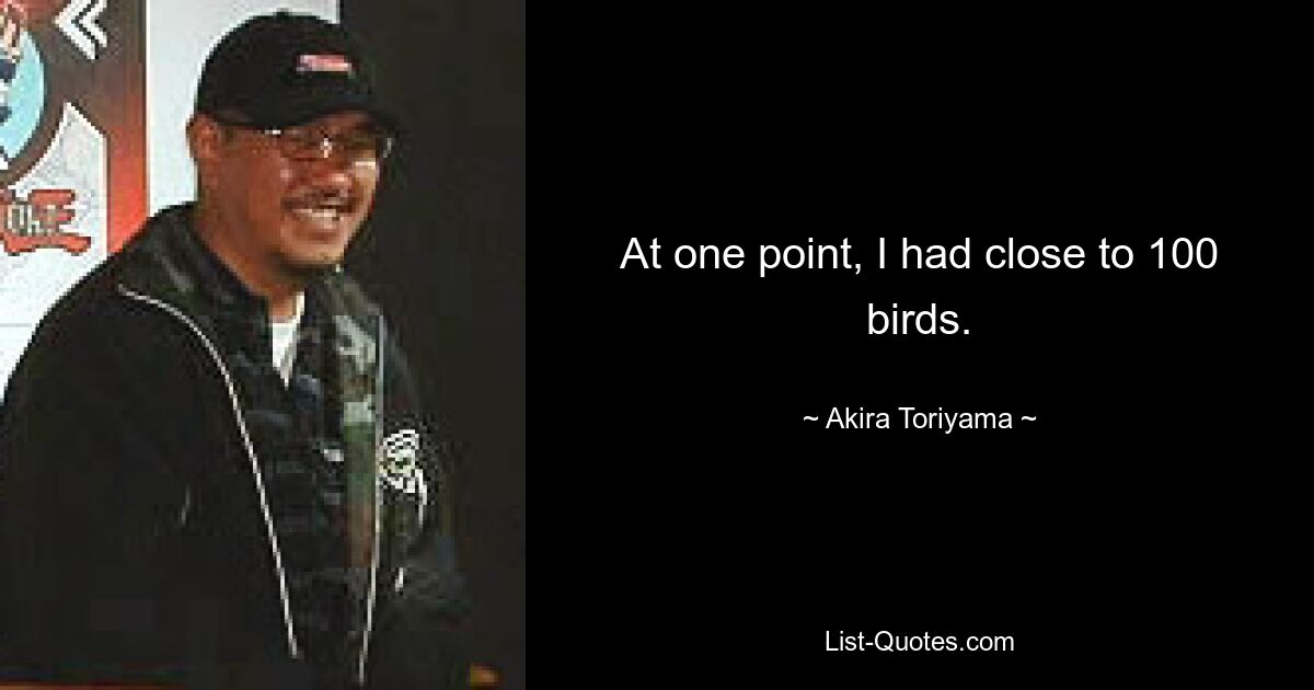 At one point, I had close to 100 birds. — © Akira Toriyama