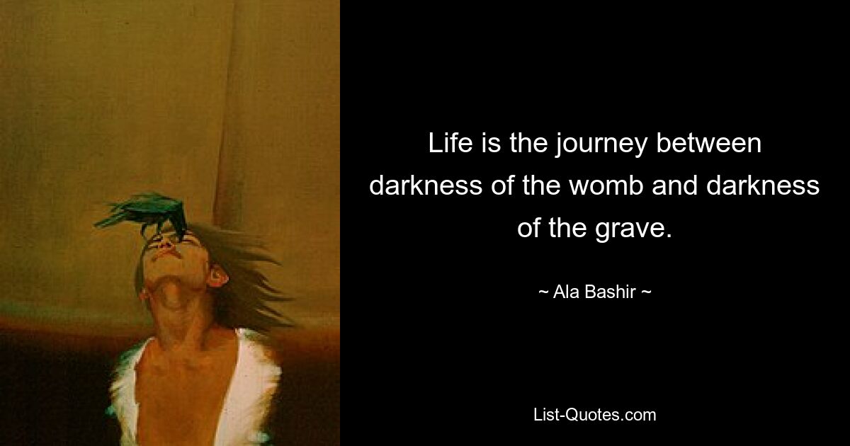 Life is the journey between darkness of the womb and darkness of the grave. — © Ala Bashir