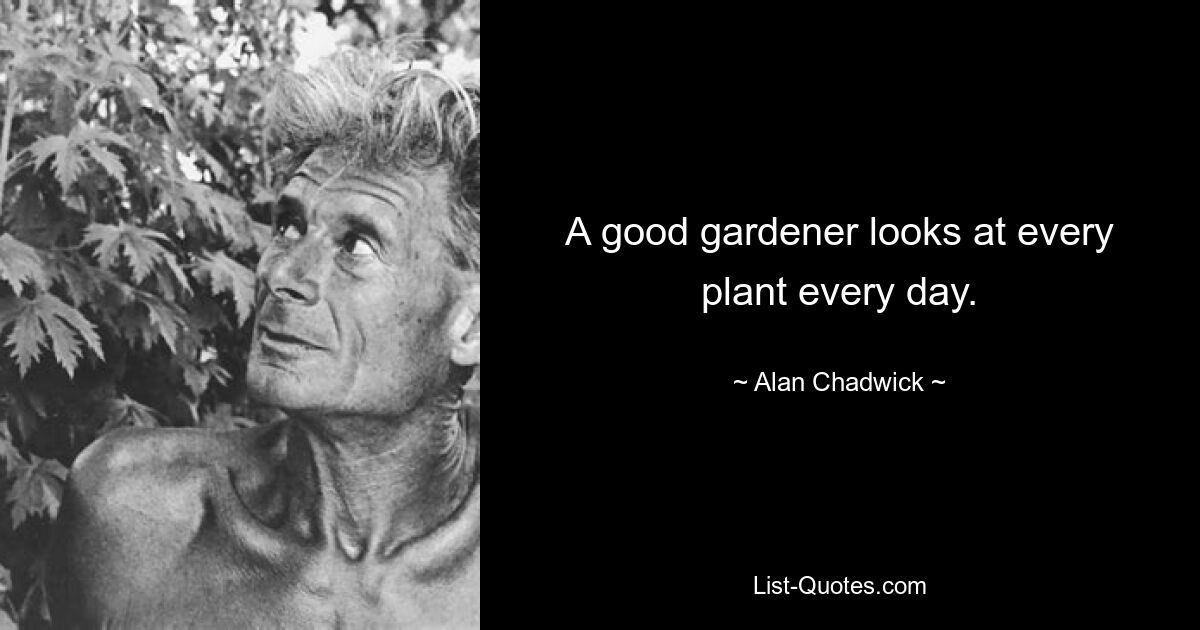 A good gardener looks at every plant every day. — © Alan Chadwick