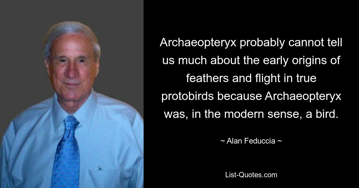 Archaeopteryx probably cannot tell us much about the early origins of feathers and flight in true protobirds because Archaeopteryx was, in the modern sense, a bird. — © Alan Feduccia