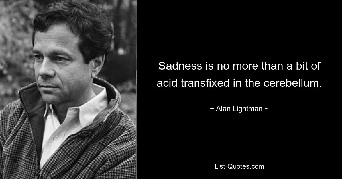 Sadness is no more than a bit of acid transfixed in the cerebellum. — © Alan Lightman