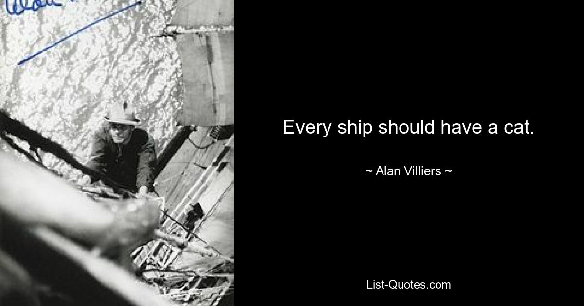 Every ship should have a cat. — © Alan Villiers