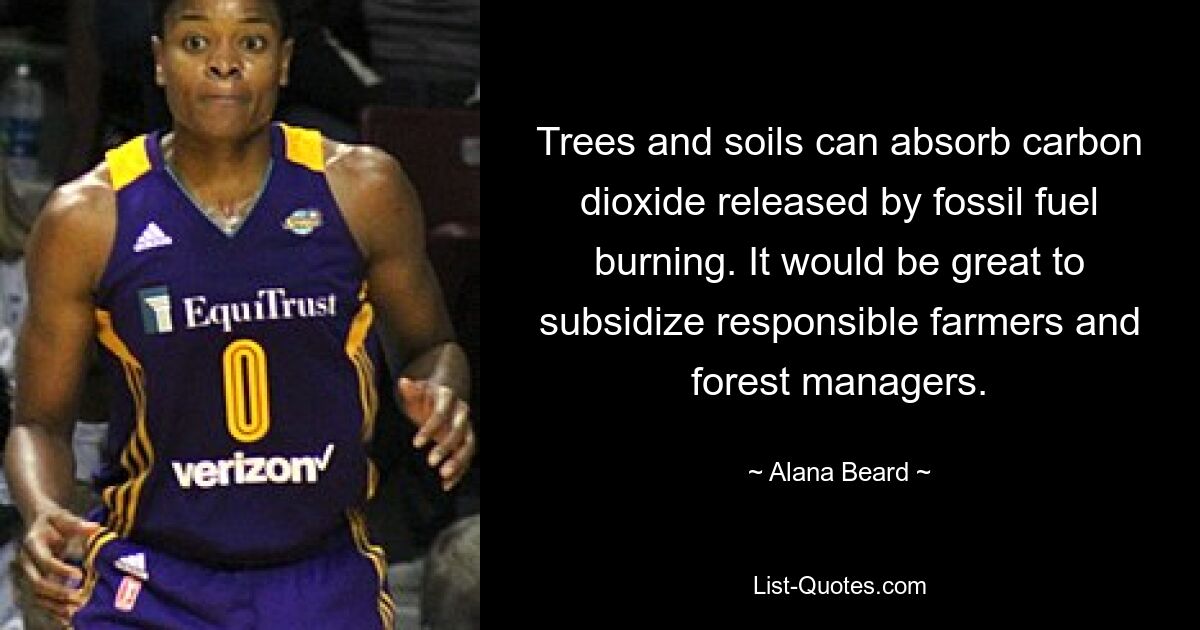 Trees and soils can absorb carbon dioxide released by fossil fuel burning. It would be great to subsidize responsible farmers and forest managers. — © Alana Beard