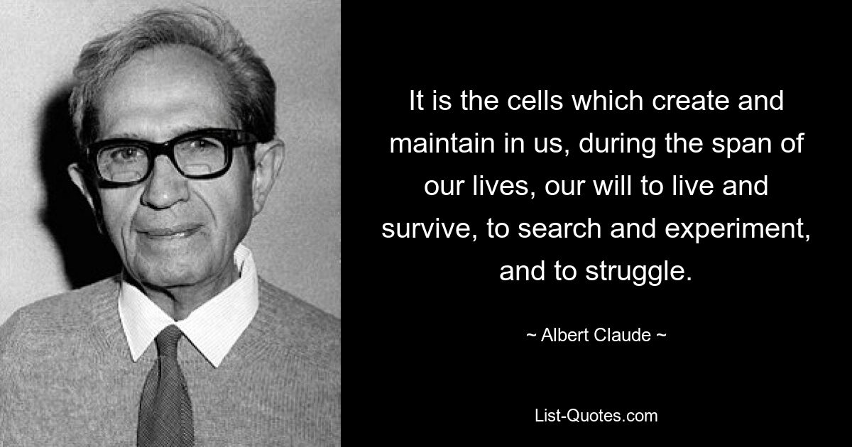 It is the cells which create and maintain in us, during the span of our lives, our will to live and survive, to search and experiment, and to struggle. — © Albert Claude