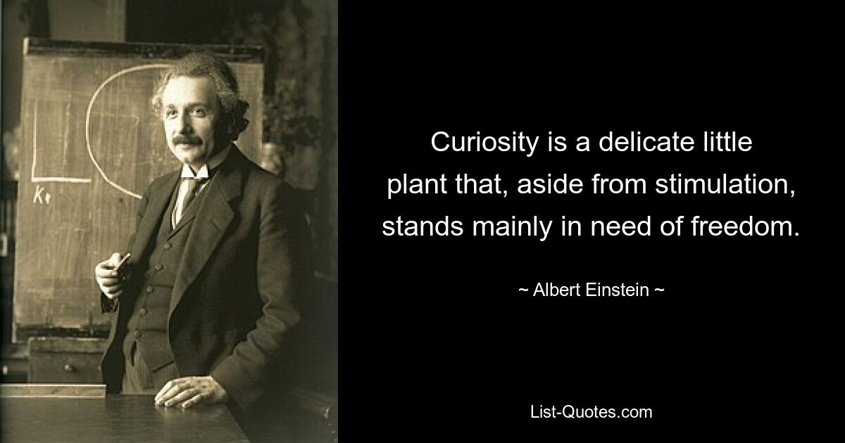 Curiosity is a delicate little plant that, aside from stimulation, stands mainly in need of freedom. — © Albert Einstein