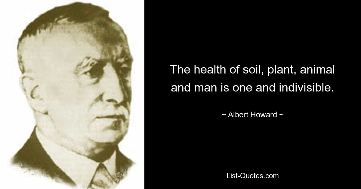 The health of soil, plant, animal and man is one and indivisible. — © Albert Howard