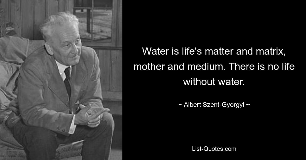 Water is life's matter and matrix, mother and medium. There is no life without water. — © Albert Szent-Gyorgyi