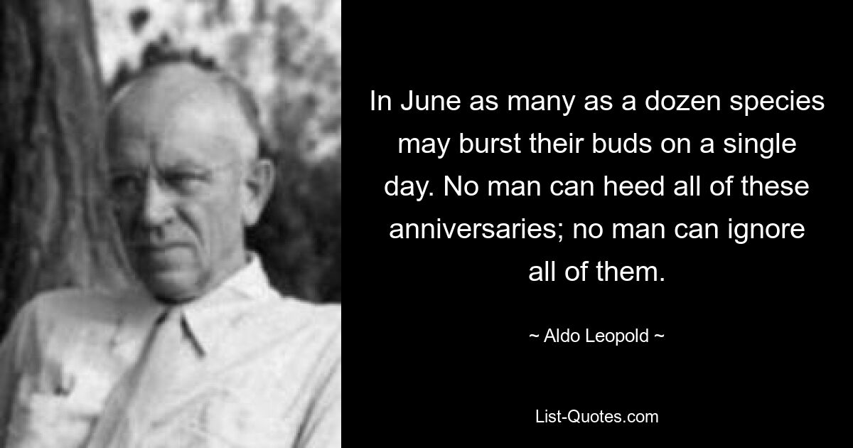 In June as many as a dozen species may burst their buds on a single day. No man can heed all of these anniversaries; no man can ignore all of them. — © Aldo Leopold