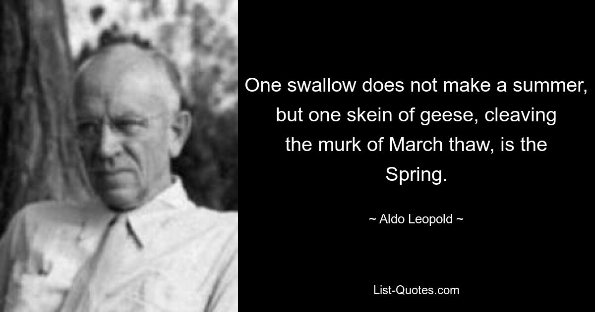 Eine Schwalbe macht noch keinen Sommer, aber ein Schwarm Gänse, der die Dunkelheit des Märztauwetters durchbricht, ist der Frühling. — © Aldo Leopold 