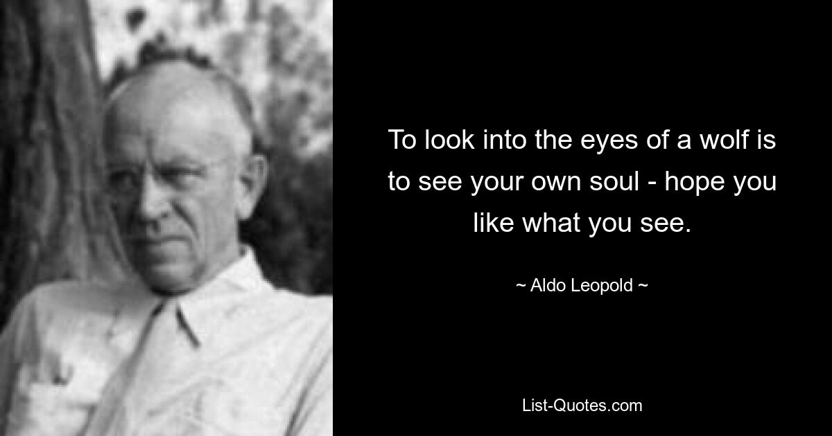 To look into the eyes of a wolf is to see your own soul - hope you like what you see. — © Aldo Leopold