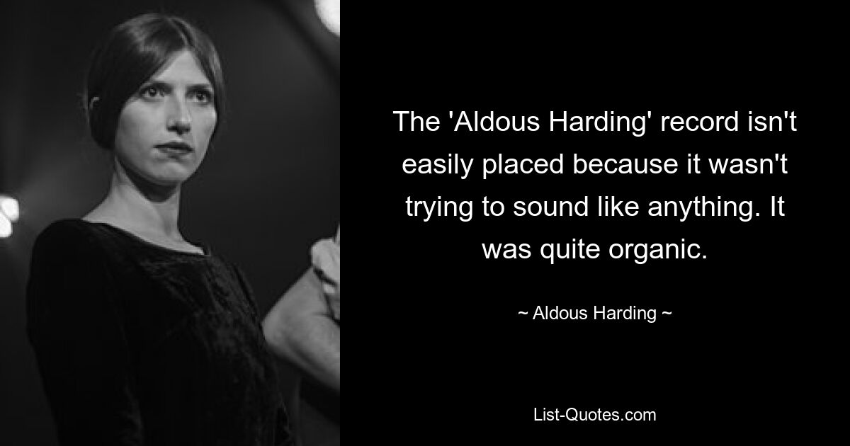 The 'Aldous Harding' record isn't easily placed because it wasn't trying to sound like anything. It was quite organic. — © Aldous Harding