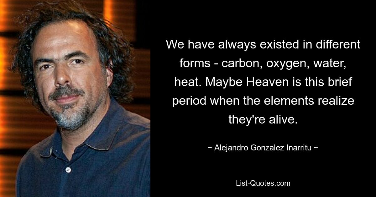 We have always existed in different forms - carbon, oxygen, water, heat. Maybe Heaven is this brief period when the elements realize they're alive. — © Alejandro Gonzalez Inarritu