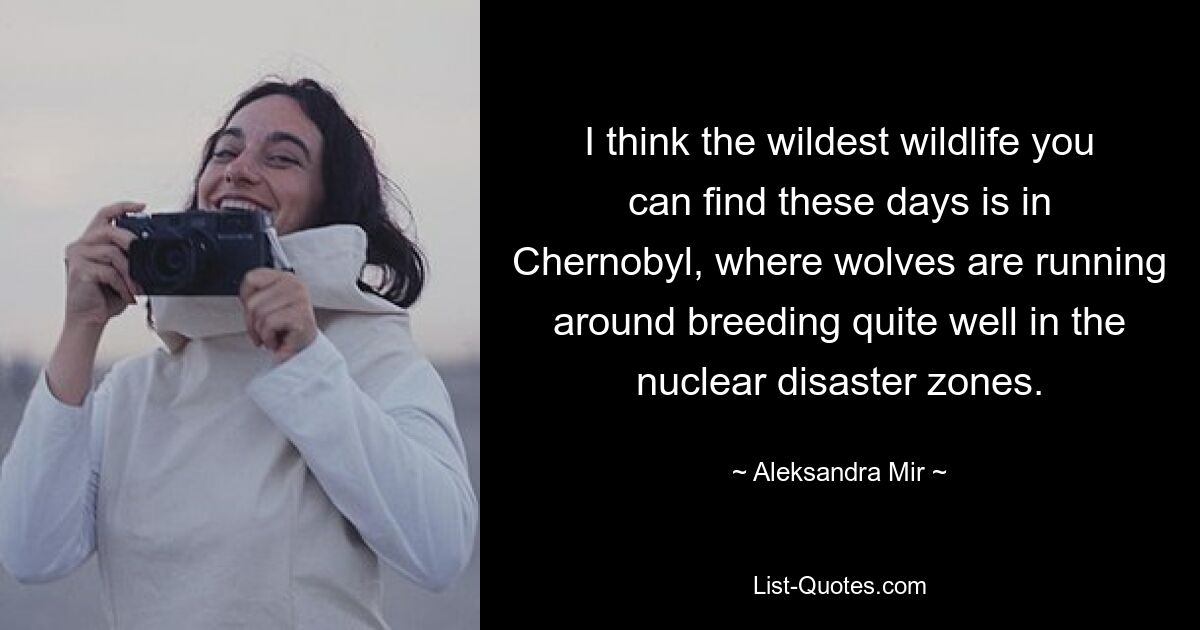 I think the wildest wildlife you can find these days is in Chernobyl, where wolves are running around breeding quite well in the nuclear disaster zones. — © Aleksandra Mir