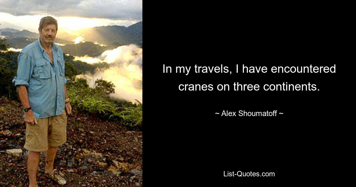 In my travels, I have encountered cranes on three continents. — © Alex Shoumatoff