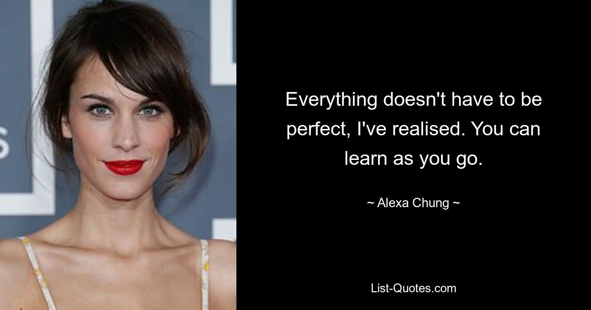 Everything doesn't have to be perfect, I've realised. You can learn as you go. — © Alexa Chung